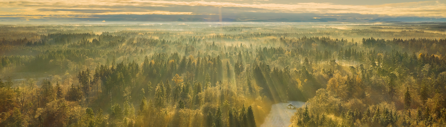 Wonderful,Foggy,Environmetal,Scenery,-,Sunny,Aerial,With,The,View